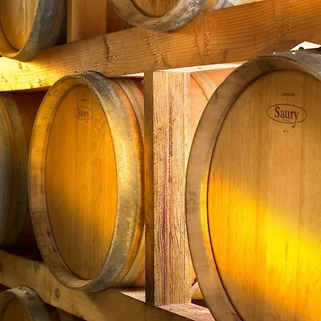 Tenuta Belsedere